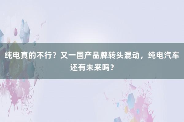 纯电真的不行？又一国产品牌转头混动，纯电汽车还有未来吗？