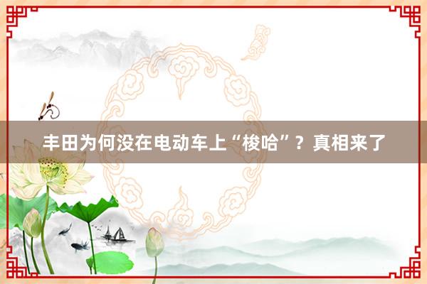 丰田为何没在电动车上“梭哈”？真相来了