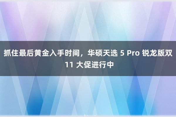 抓住最后黄金入手时间，华硕天选 5 Pro 锐龙版双 11 大促进行中