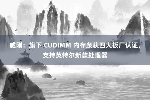 威刚：旗下 CUDIMM 内存条获四大板厂认证，支持英特尔新款处理器