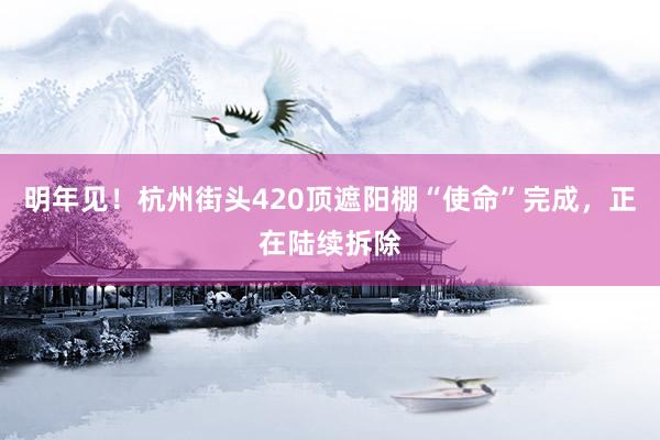 明年见！杭州街头420顶遮阳棚“使命”完成，正在陆续拆除