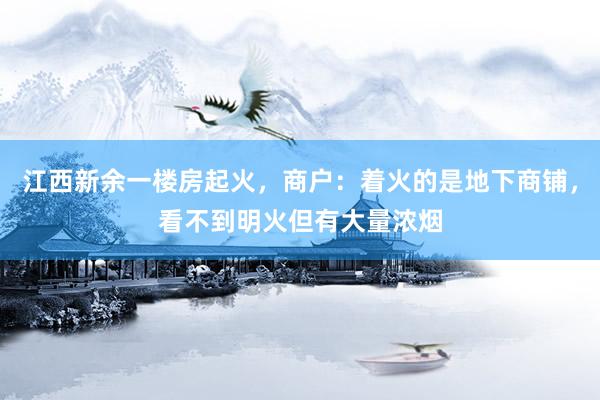 江西新余一楼房起火，商户：着火的是地下商铺，看不到明火但有大量浓烟