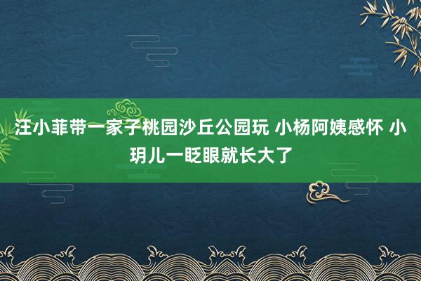 汪小菲带一家子桃园沙丘公园玩 小杨阿姨感怀 小玥儿一眨眼就长大了