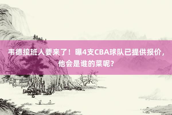 韦德接班人要来了！曝4支CBA球队已提供报价，他会是谁的菜呢？