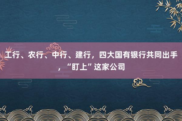 工行、农行、中行、建行，四大国有银行共同出手，“盯上”这家公司