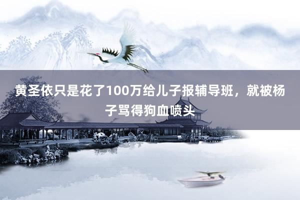 黄圣依只是花了100万给儿子报辅导班，就被杨子骂得狗血喷头