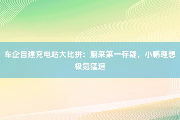 车企自建充电站大比拼：蔚来第一存疑，小鹏理想极氪猛追