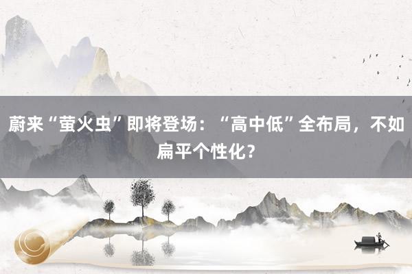 蔚来“萤火虫”即将登场：“高中低”全布局，不如扁平个性化？