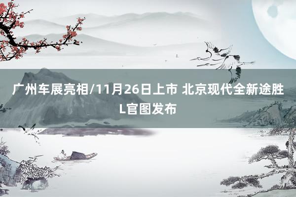 广州车展亮相/11月26日上市 北京现代全新途胜L官图发布