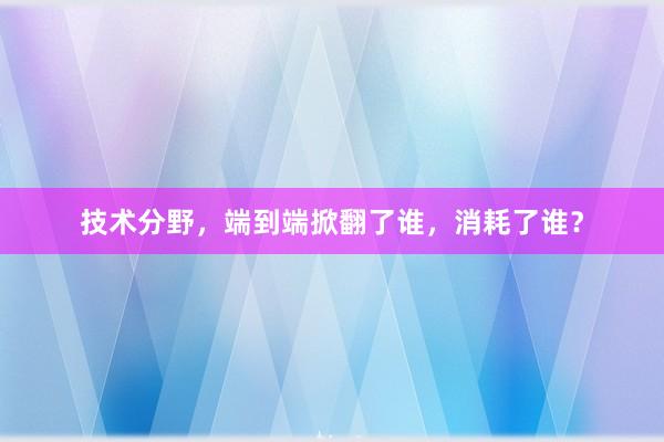 技术分野，端到端掀翻了谁，消耗了谁？