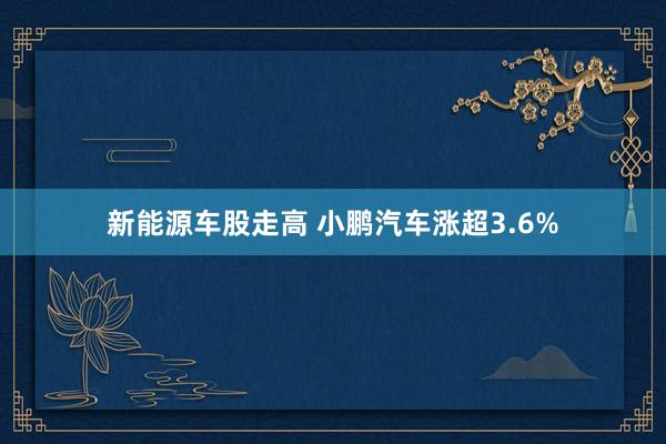 新能源车股走高 小鹏汽车涨超3.6%