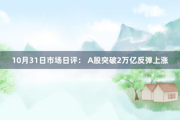 10月31日市场日评： A股突破2万亿反弹上涨