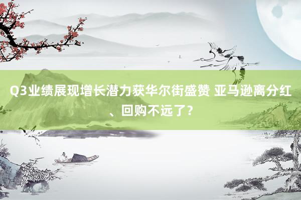 Q3业绩展现增长潜力获华尔街盛赞 亚马逊离分红、回购不远了？