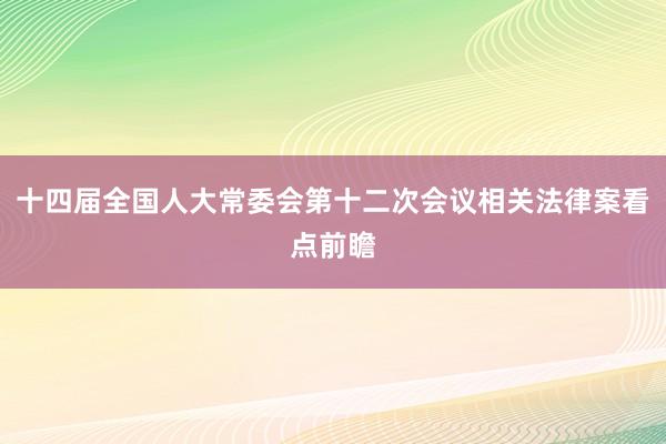 十四届全国人大常委会第十二次会议相关法律案看点前瞻