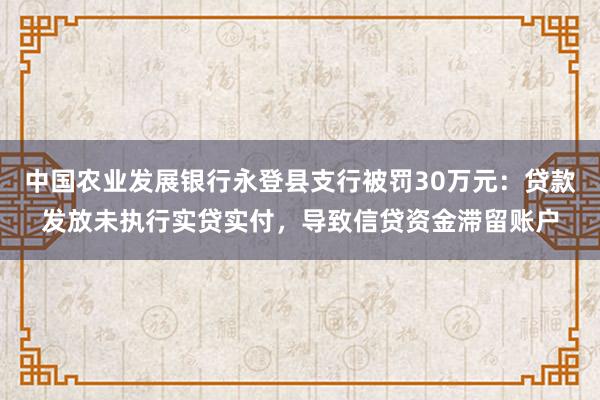 中国农业发展银行永登县支行被罚30万元：贷款发放未执行实贷实付，导致信贷资金滞留账户