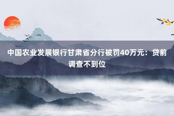 中国农业发展银行甘肃省分行被罚40万元：贷前调查不到位