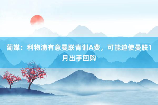 葡媒：利物浦有意曼联青训A费，可能迫使曼联1月出手回购