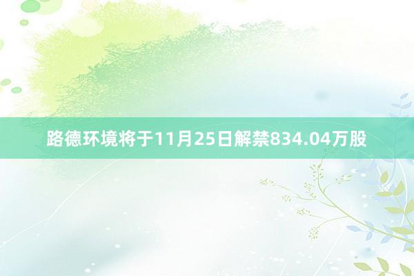 路德环境将于11月25日解禁834.04万股