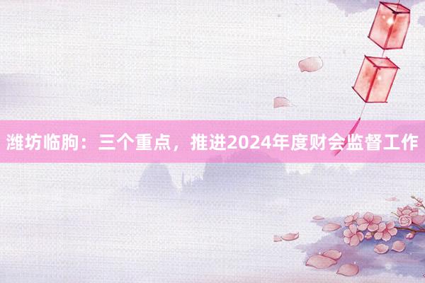 潍坊临朐：三个重点，推进2024年度财会监督工作