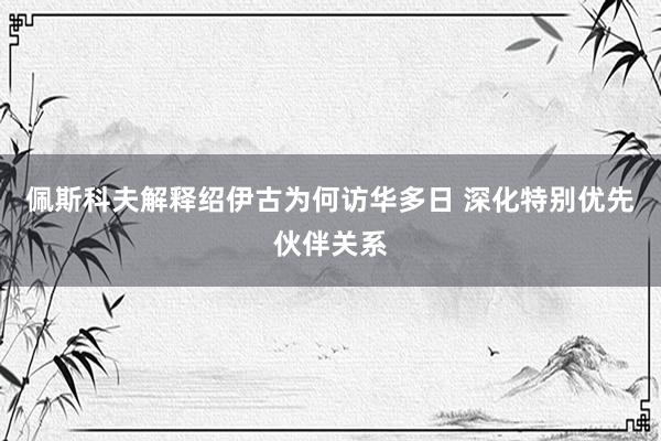 佩斯科夫解释绍伊古为何访华多日 深化特别优先伙伴关系