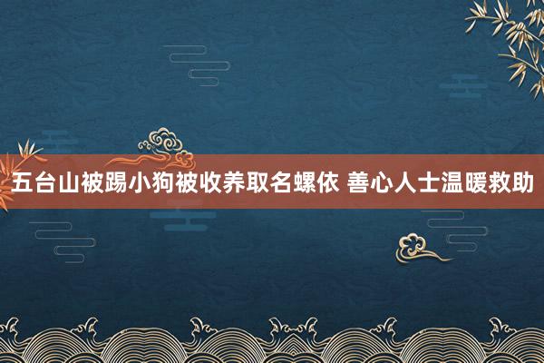 五台山被踢小狗被收养取名螺依 善心人士温暖救助