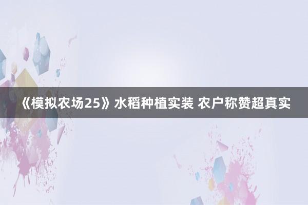 《模拟农场25》水稻种植实装 农户称赞超真实