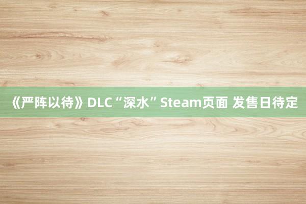 《严阵以待》DLC“深水”Steam页面 发售日待定