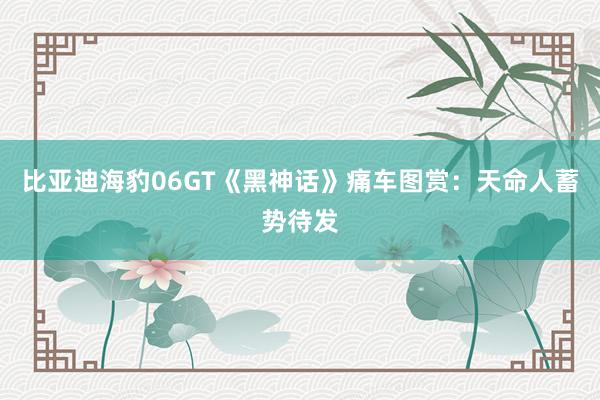 比亚迪海豹06GT《黑神话》痛车图赏：天命人蓄势待发