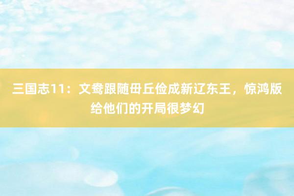 三国志11：文鸯跟随毌丘俭成新辽东王，惊鸿版给他们的开局很梦幻