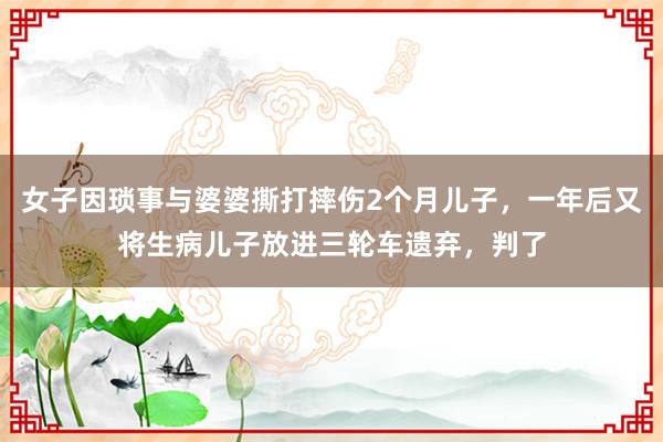 女子因琐事与婆婆撕打摔伤2个月儿子，一年后又将生病儿子放进三轮车遗弃，判了