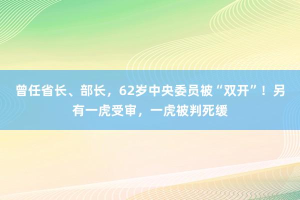 曾任省长、部长，62岁中央委员被“双开”！另有一虎受审，一虎被判死缓