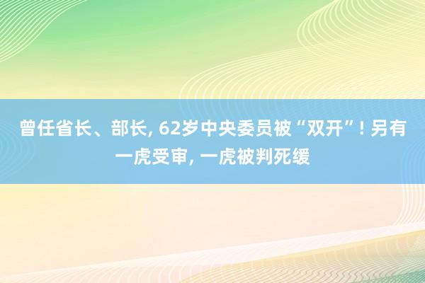 曾任省长、部长, 62岁中央委员被“双开”! 另有一虎受审, 一虎被判死缓