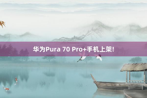 华为Pura 70 Pro+手机上架!