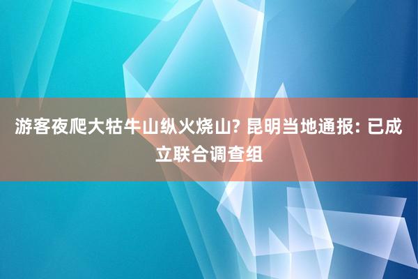 游客夜爬大牯牛山纵火烧山? 昆明当地通报: 已成立联合调查组