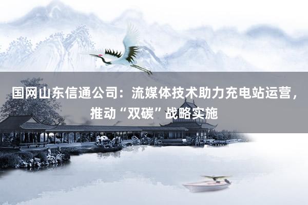 国网山东信通公司：流媒体技术助力充电站运营，推动“双碳”战略实施