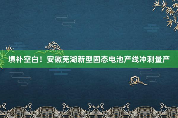 填补空白！安徽芜湖新型固态电池产线冲刺量产