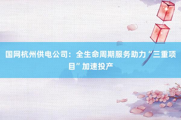 国网杭州供电公司：全生命周期服务助力“三重项目”加速投产