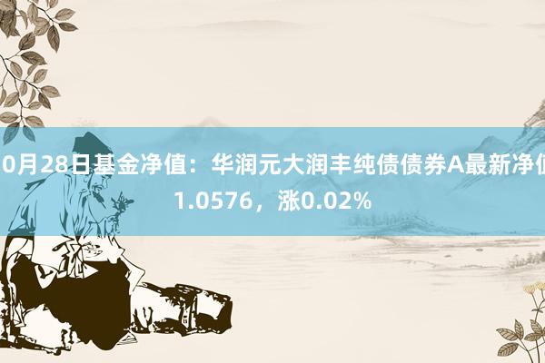 10月28日基金净值：华润元大润丰纯债债券A最新净值1.0576，涨0.02%