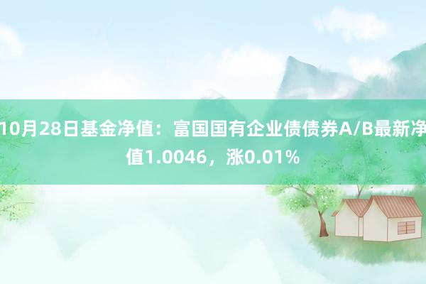 10月28日基金净值：富国国有企业债债券A/B最新净值1.0046，涨0.01%