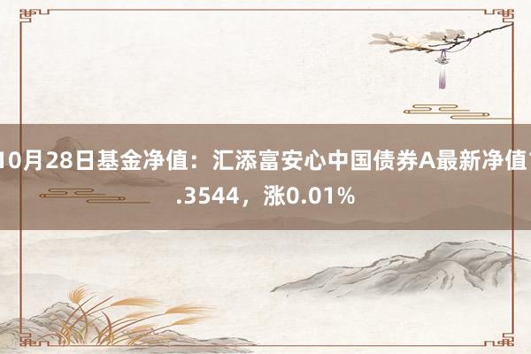 10月28日基金净值：汇添富安心中国债券A最新净值1.3544，涨0.01%