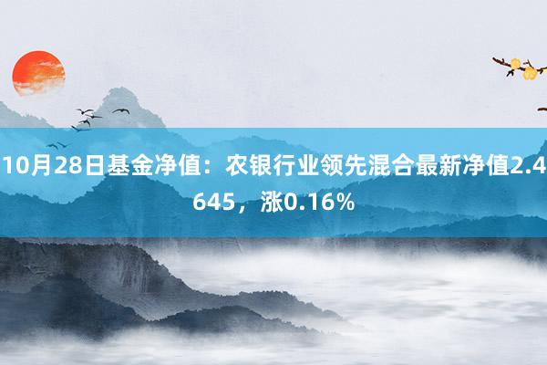 10月28日基金净值：农银行业领先混合最新净值2.4645，涨0.16%