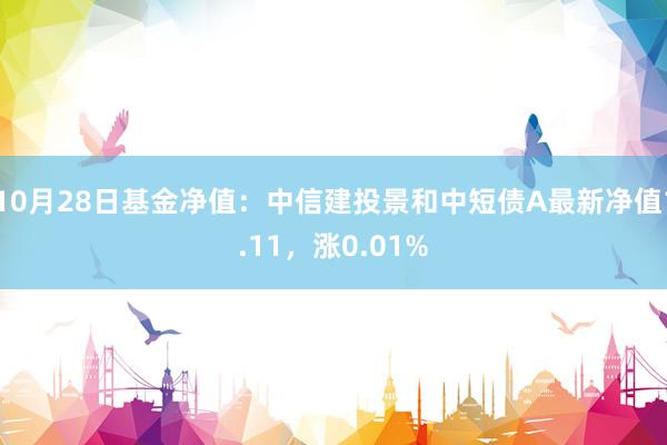 10月28日基金净值：中信建投景和中短债A最新净值1.11，涨0.01%