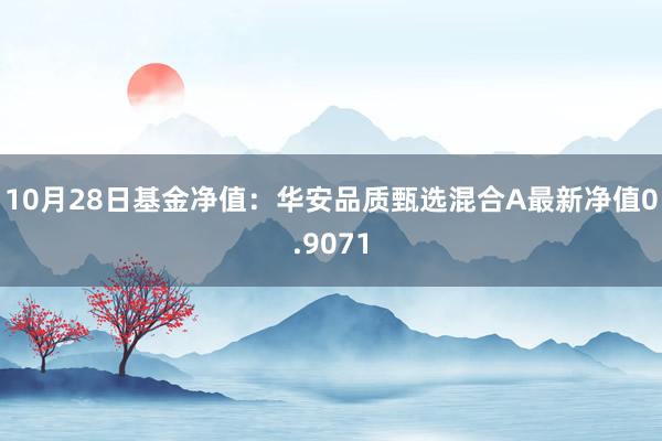 10月28日基金净值：华安品质甄选混合A最新净值0.9071