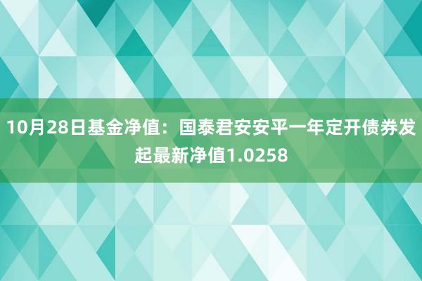 10月28日基金净值：国泰君安安平一年定开债券发起最新净值1.0258