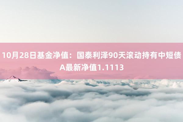 10月28日基金净值：国泰利泽90天滚动持有中短债A最新净值1.1113