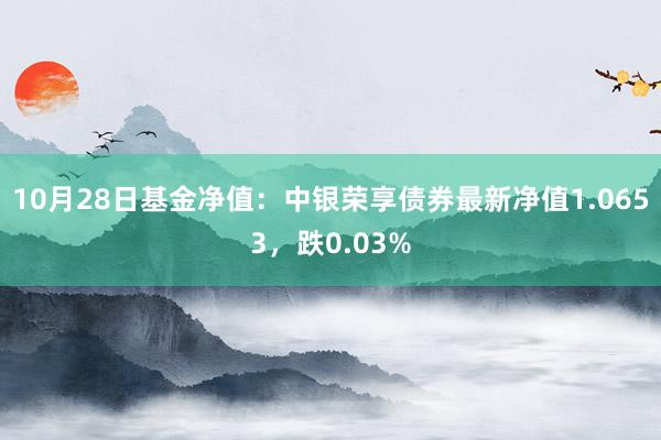 10月28日基金净值：中银荣享债券最新净值1.0653，跌0.03%