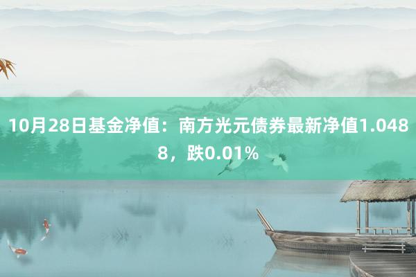 10月28日基金净值：南方光元债券最新净值1.0488，跌0.01%