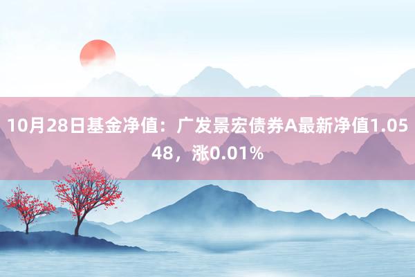 10月28日基金净值：广发景宏债券A最新净值1.0548，涨0.01%