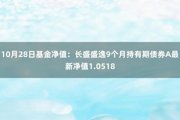 10月28日基金净值：长盛盛逸9个月持有期债券A最新净值1.0518