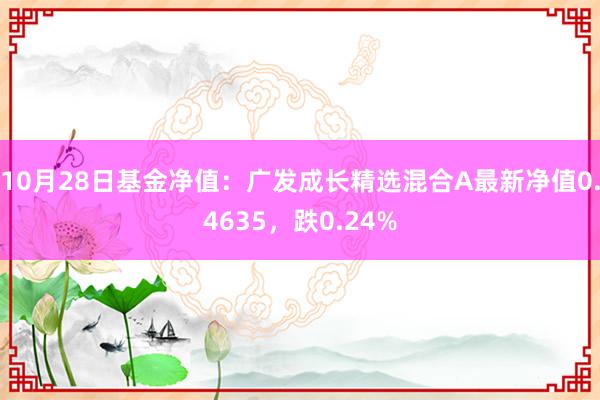 10月28日基金净值：广发成长精选混合A最新净值0.4635，跌0.24%